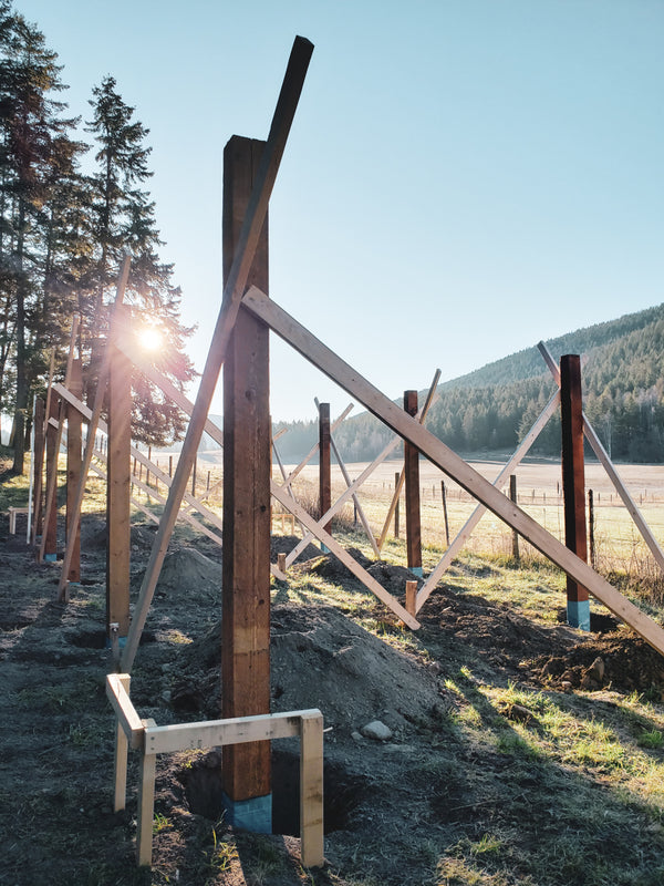 Breaking Ground